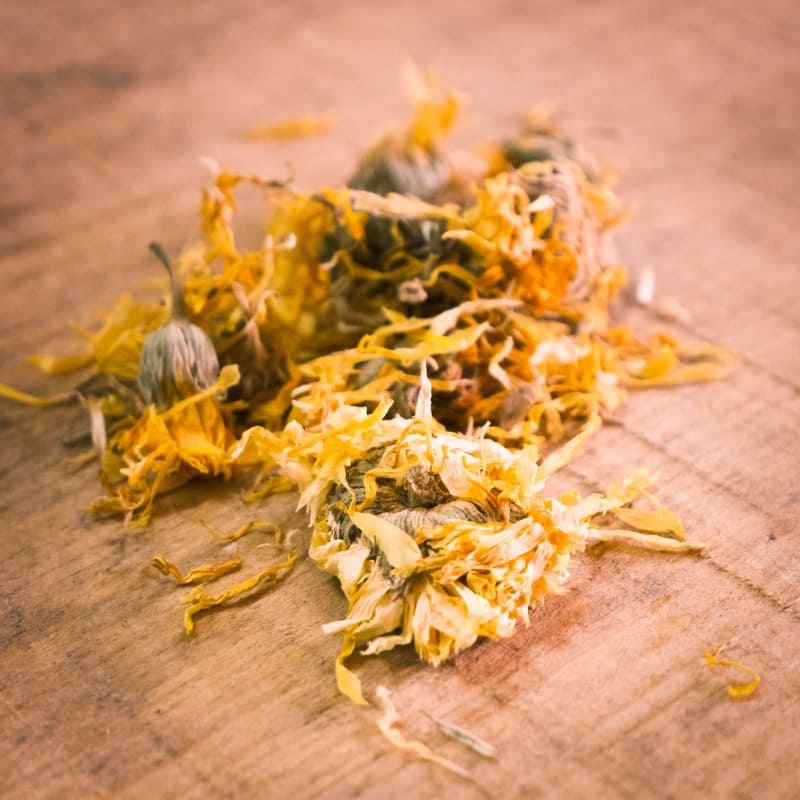 Calêndula