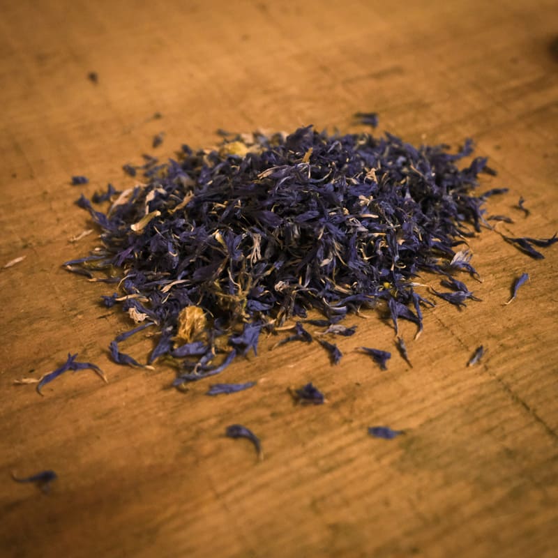 Centáurea Azul